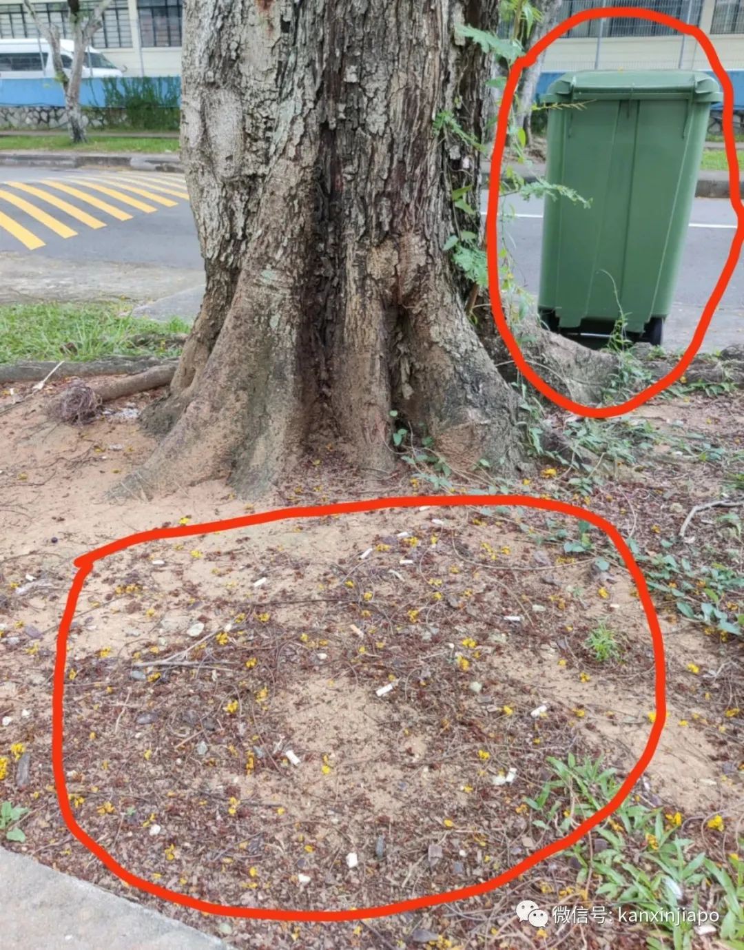 一個煙蒂導致20戶人家被疏散。煙蒂應該丟垃圾桶嗎?