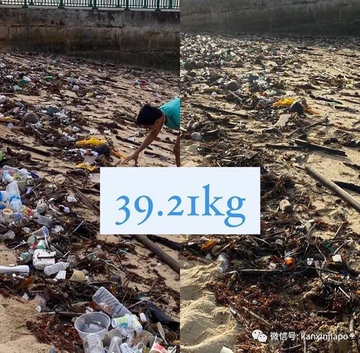 新加坡最近流行撿垃圾了，你還在亂丟嗎？