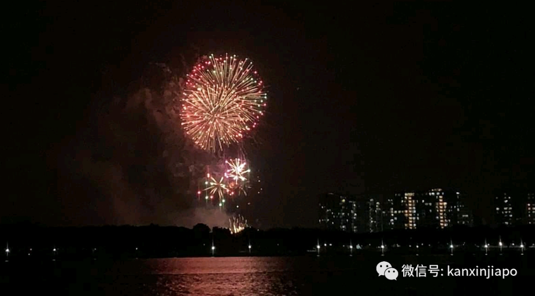 疫情笼罩2020新加坡国庆，绚烂烟花全岛怒放，祈祷平安，瘟疫退散！