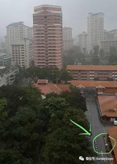 美呆，新加坡碧山开始飘雪花？