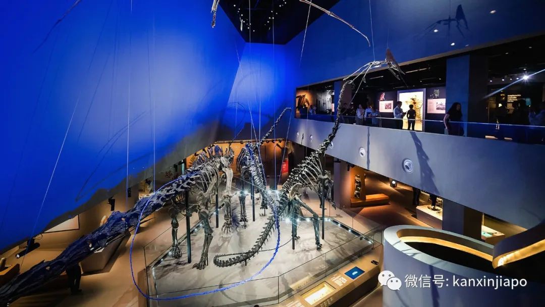 【下周活動】恐龍化石展覽半價、施華洛世奇送旅行首飾盒