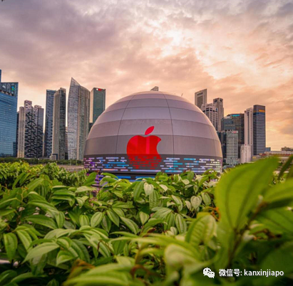 多图，超美！全球首家水上苹果店成新拍照热门地