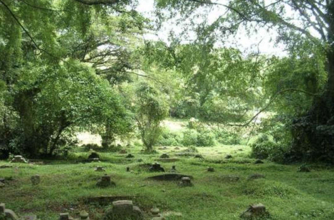 鬼門開第一天,連“鬼”出門也要SafeEntry