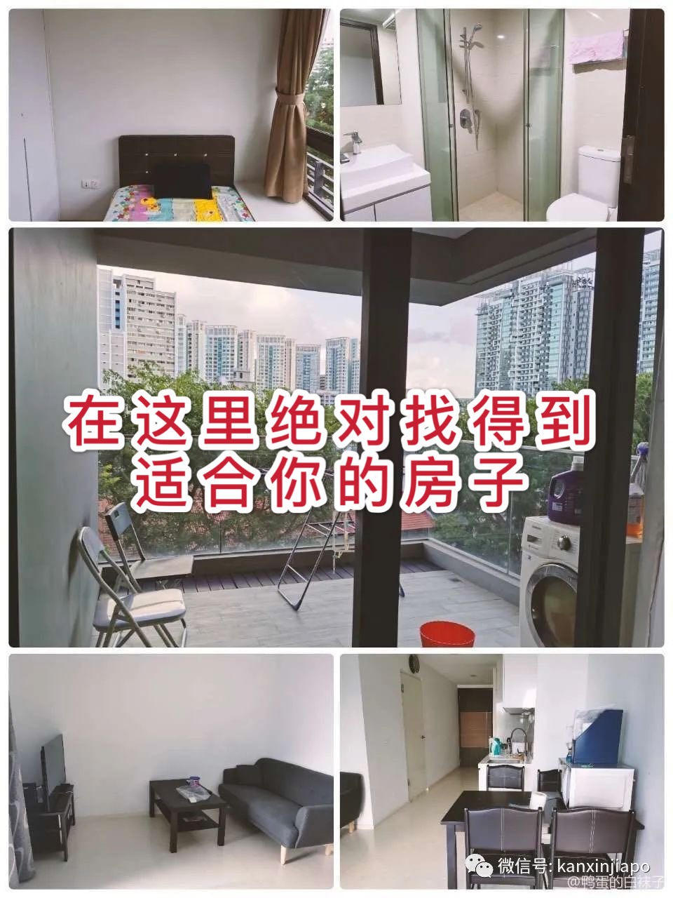 电话被打爆!免费的新加坡租房神器 帮你解决所有租房烦恼