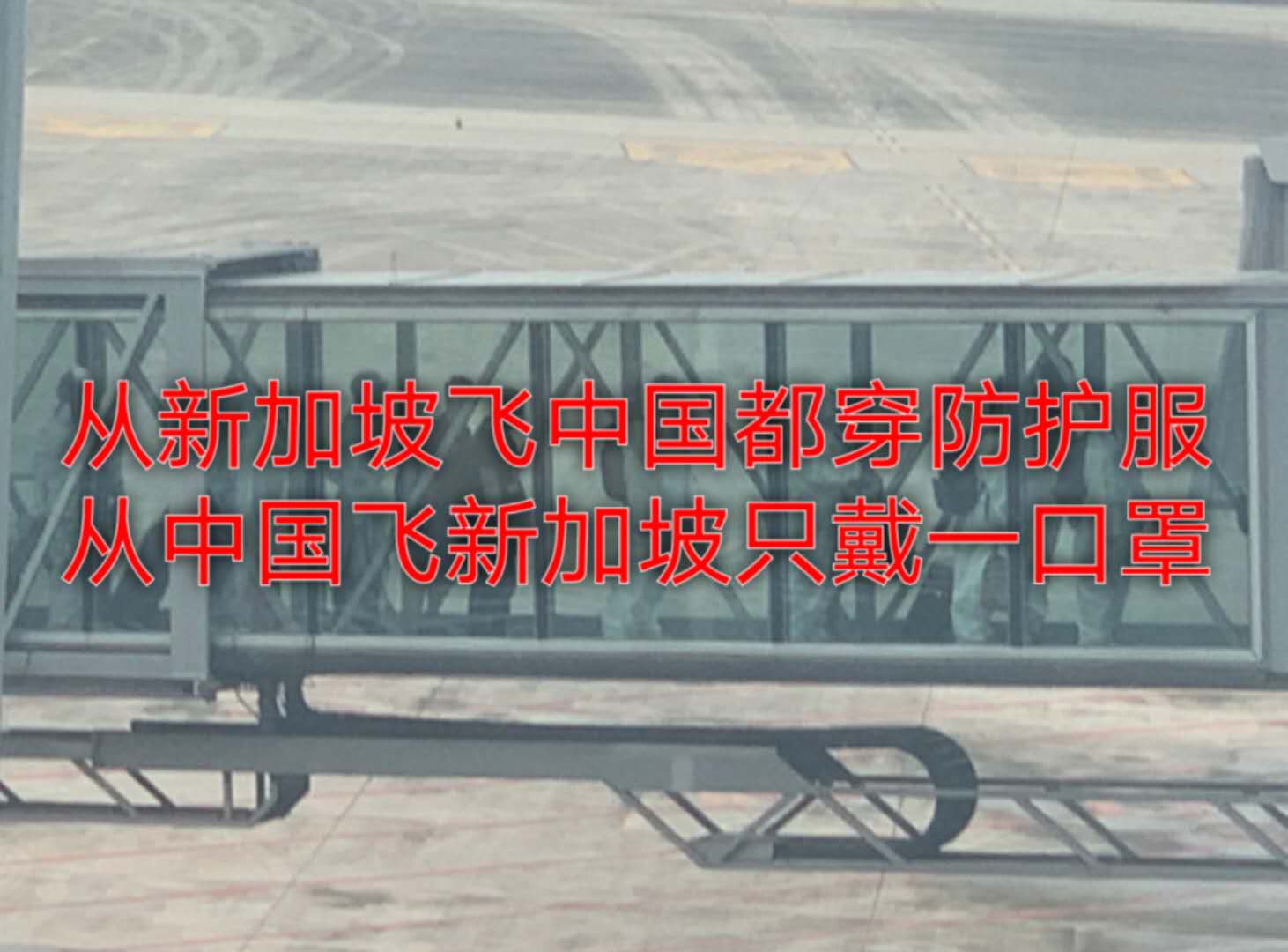 详细攻略!中国飞新加坡的成功案例,通过抢票、申请许可、检测、隔离等关卡