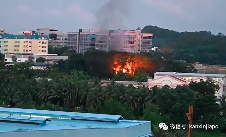 新加坡工厂突发大火，中国籍工人受伤送院
