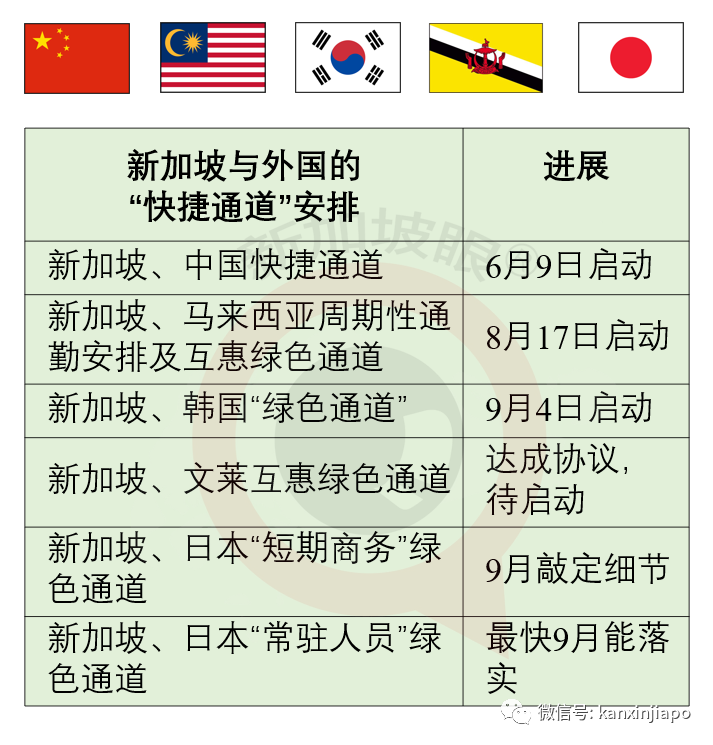 8月份新加坡輸入病例近七成源自印度