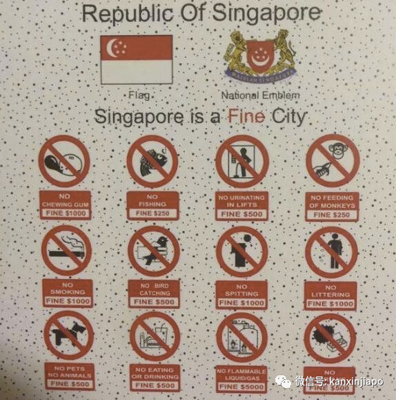 明天起，挂國旗不會挨千元罰款！盤點新加坡6大奇葩禁事