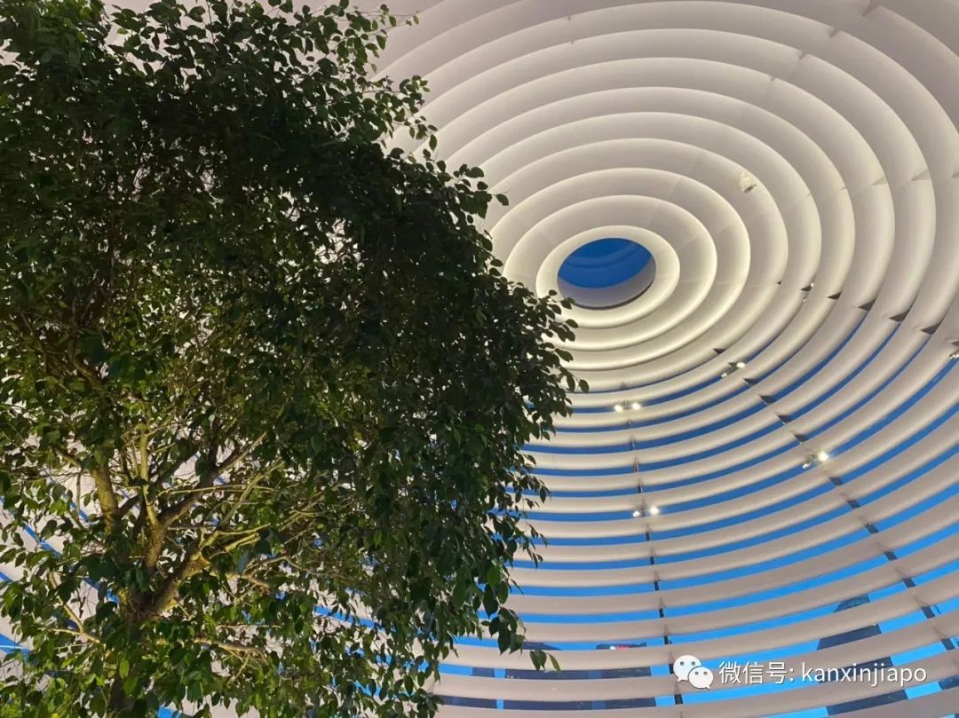 多圖實拍科技感超強,逛全球首個水上蘋果商店初體驗