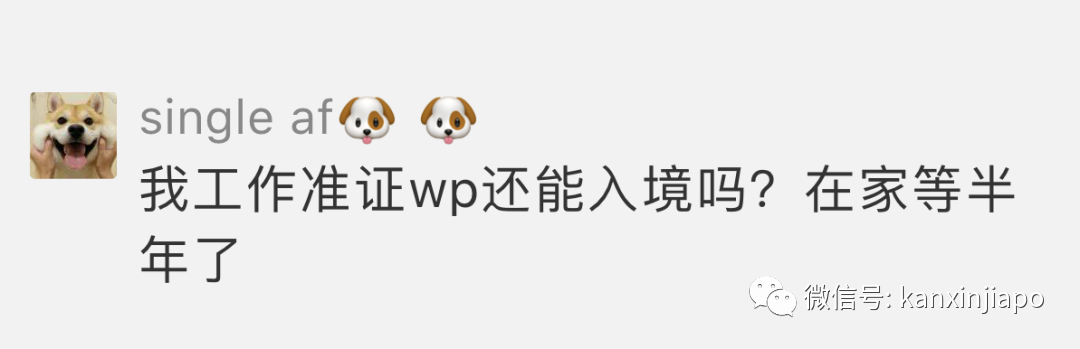 8月份新加坡輸入病例近七成源自印度