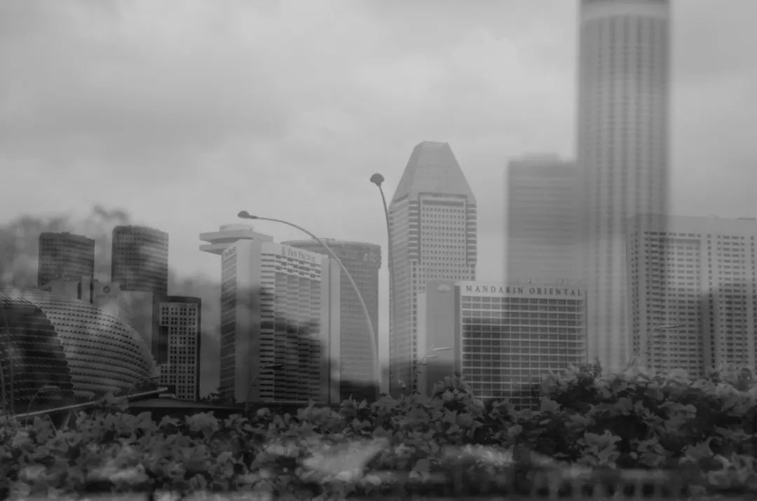 远嫁新加坡的这些年 | 南洋茶话