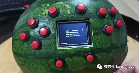 最奇葩的西瓜、榴莲游戏机！新加坡男子新发明惊艳老外