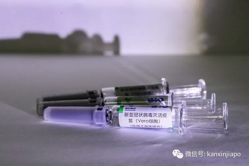 今增XXXX | 新加坡等國家疫苗發展情況，中國三款疫苗預計年底上市