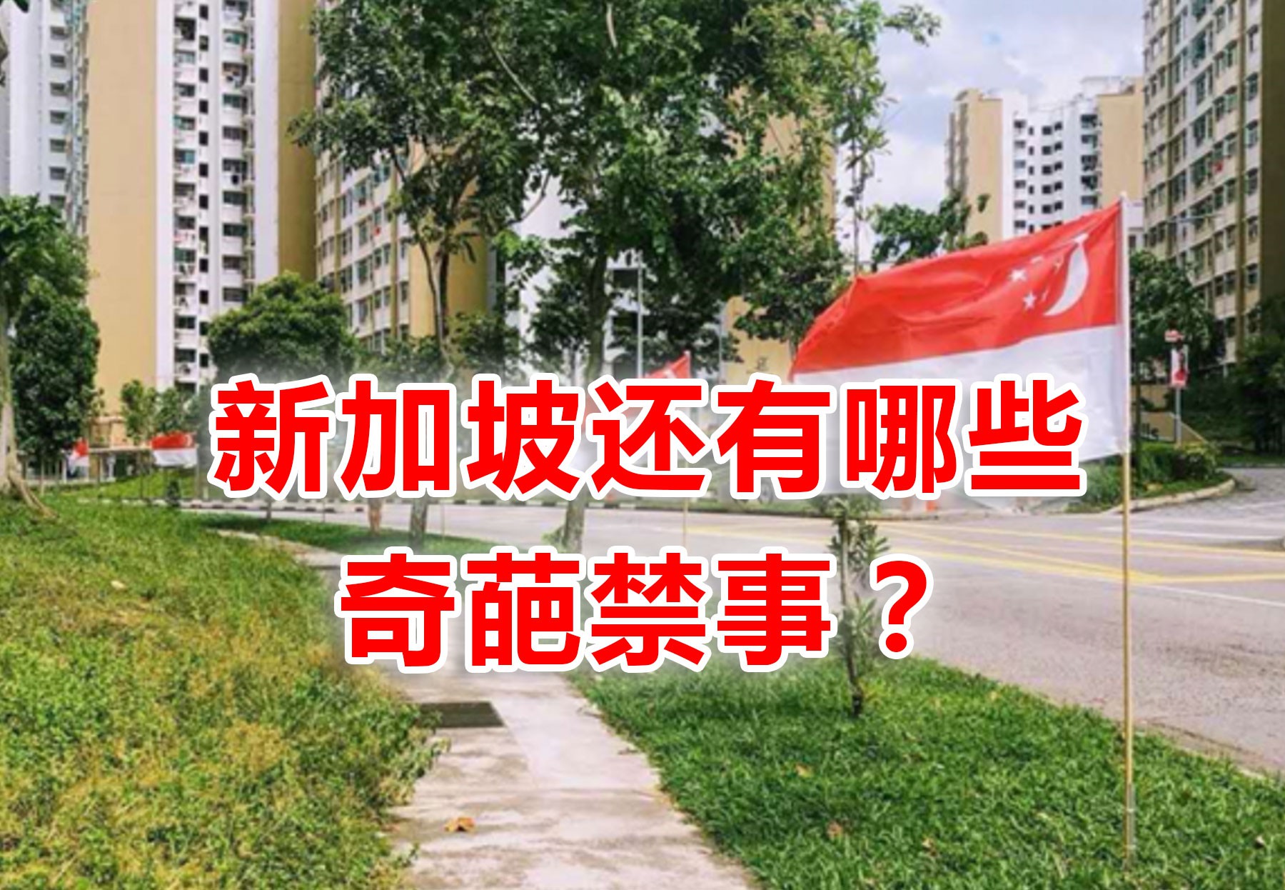 明天起,挂国旗不会挨千元罚款!盘点新加坡6大奇葩禁事