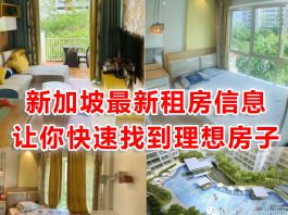 新加坡最大租房群在这!出租求租信息持续更新ing