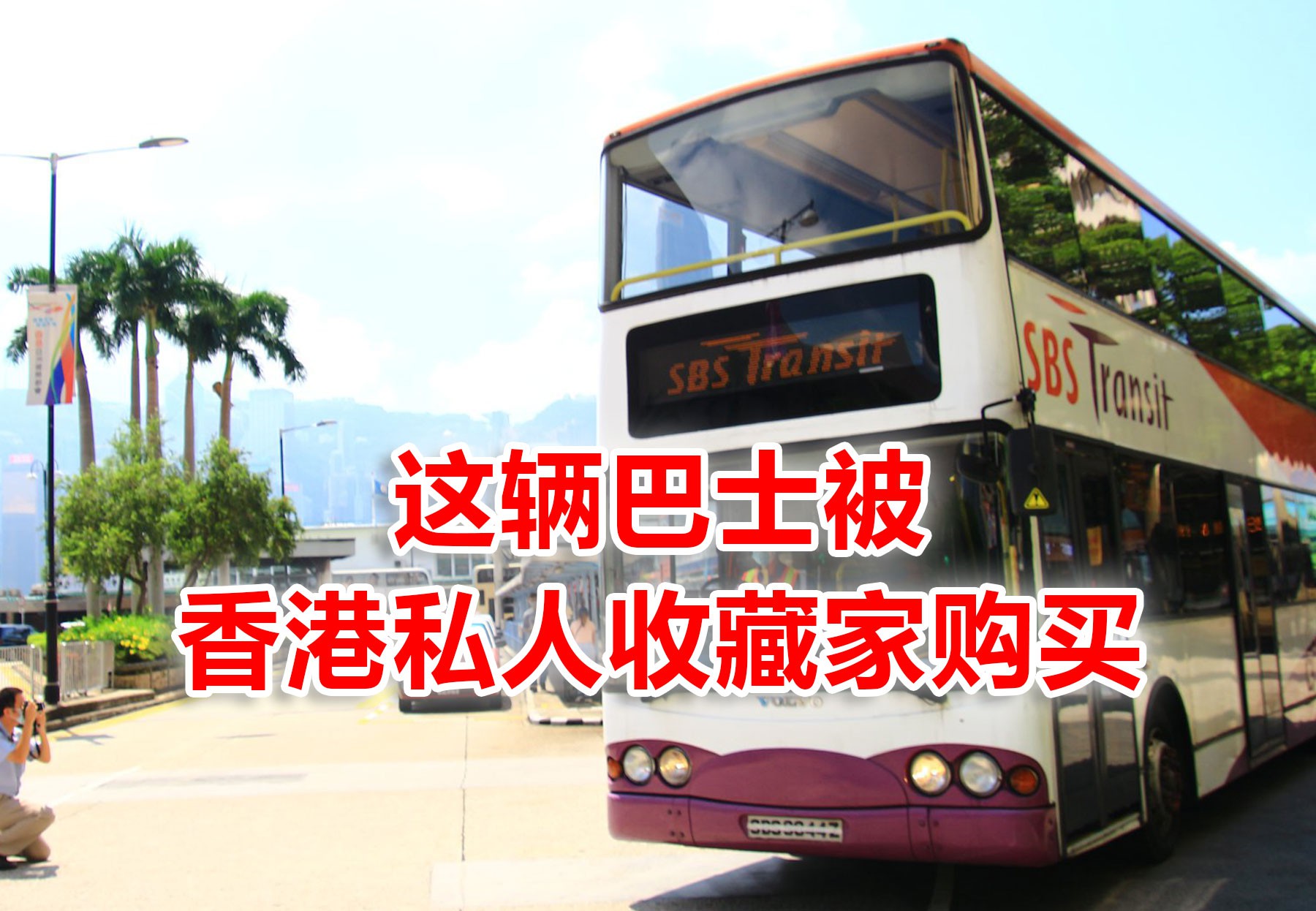 亮了!新加坡巴士“混入”香港,引行人纷纷抢拍