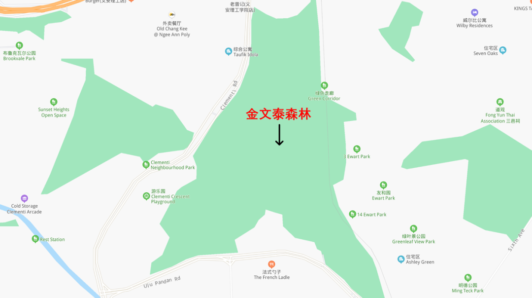 隱藏多年在金文泰的仙境,竟是新加坡面積第二大次森林