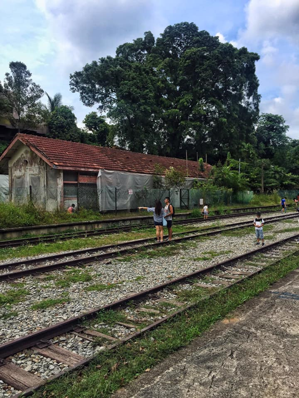 隱藏多年在金文泰的仙境,竟是新加坡面積第二大次森林