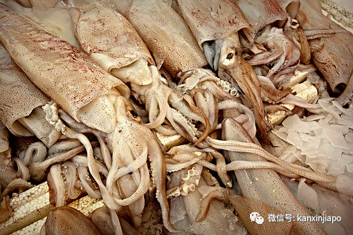 中国青岛有充分证据新冠病毒可由物传人，新加坡医师则这么说