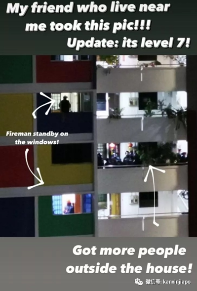 新加坡发生跳楼事件！特种部队高空下降，破窗强行进屋逮捕男子