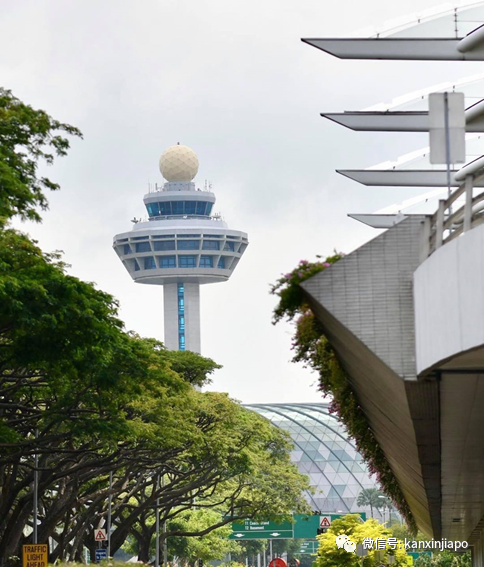 救救新加坡樟宜机场！交通部长：逐步开放边境，拯救航空业