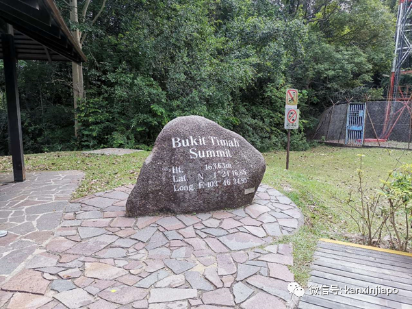 隱藏多年在金文泰的仙境,竟是新加坡面積第二大次森林