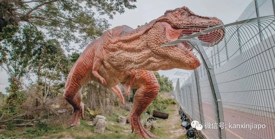 新加坡“侏罗纪公园”开放，线上预约后免费玩