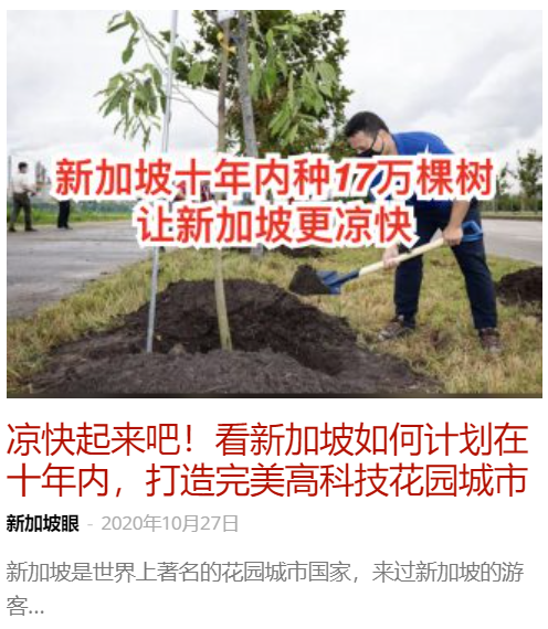 隱藏多年在金文泰的仙境,竟是新加坡面積第二大次森林