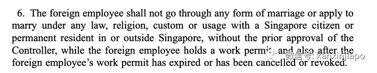因怀孕而被公司裁退！持新加坡WP工作准证的员工能生孩子吗？