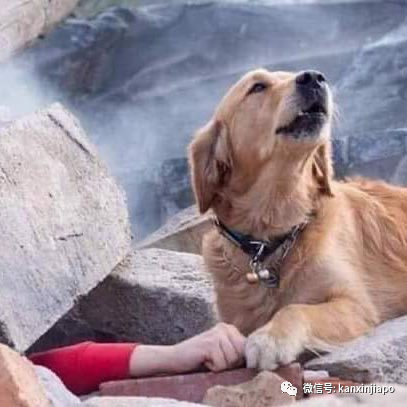 愛琴海水貫穿街道!希臘7.0大地震引發海嘯、高樓坍塌