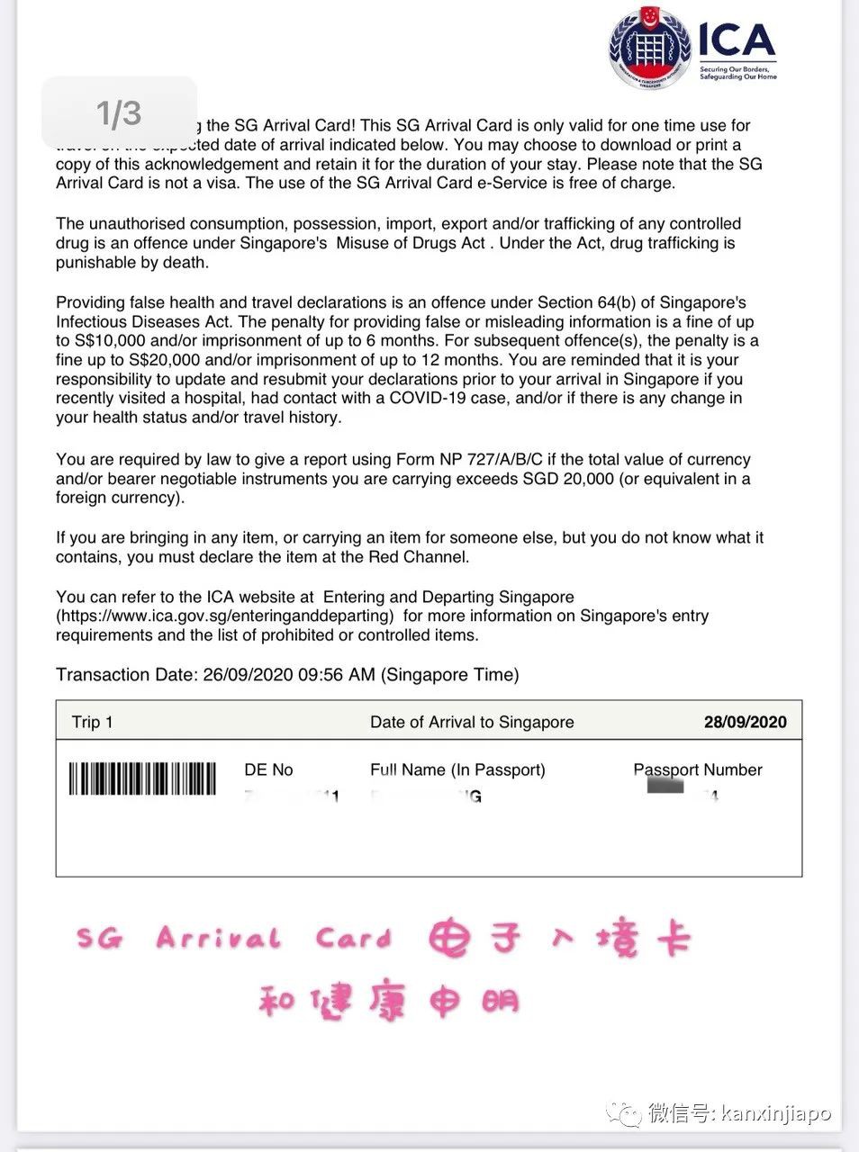 众多航班熔断，到底怎么买机票？EP从重庆飞回新加坡的暖心旅程