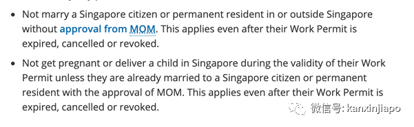 因怀孕而被公司裁退！持新加坡WP工作准证的员工能生孩子吗？
