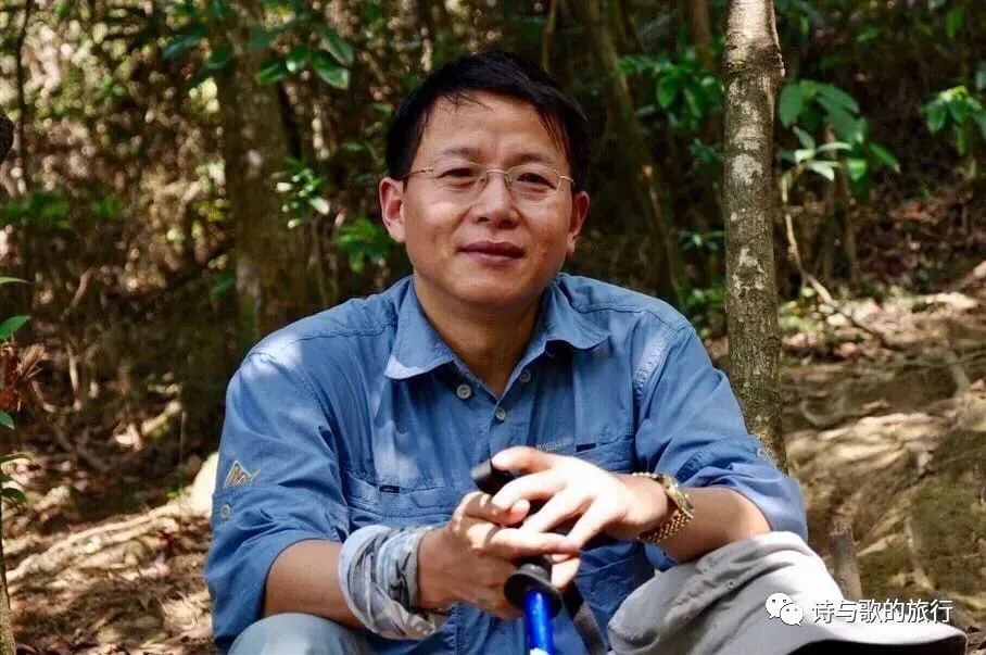 你在新加坡看过会下雨、会哭泣的树？