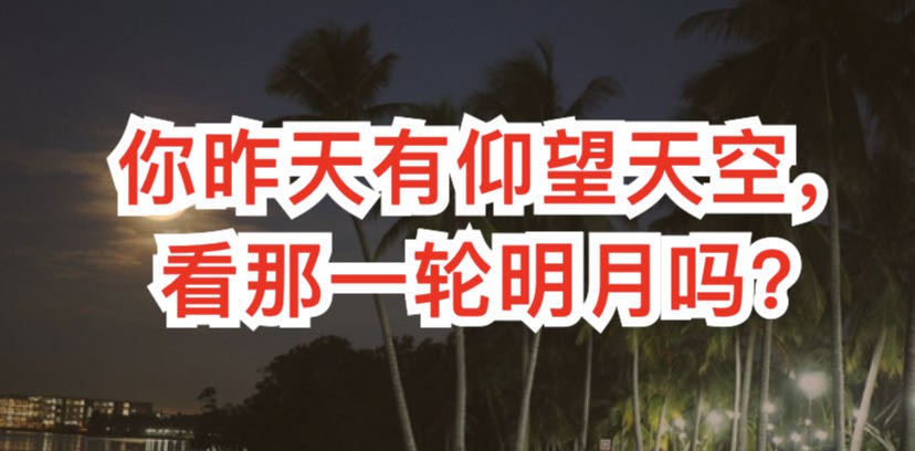 多图!新加坡的海上升明月如梦如幻