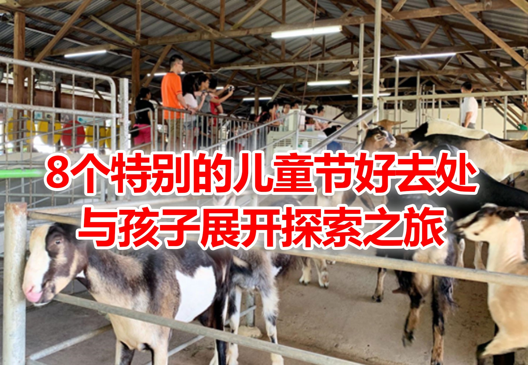 在新加坡怎么过儿童节?10个遛娃地点带你飞起