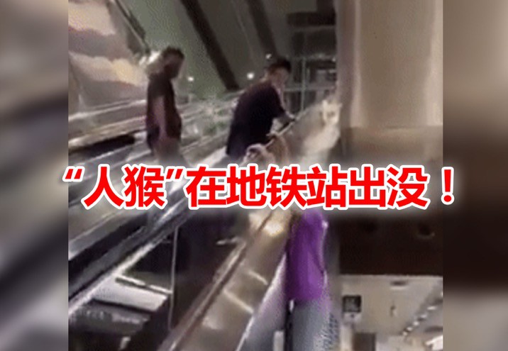 新加坡虽小,但奇葩事件相当多,你曾遇过这些吗?