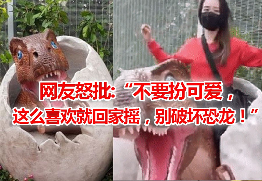恐龙模型被女子当马骑,开放5天就少了4颗牙齿