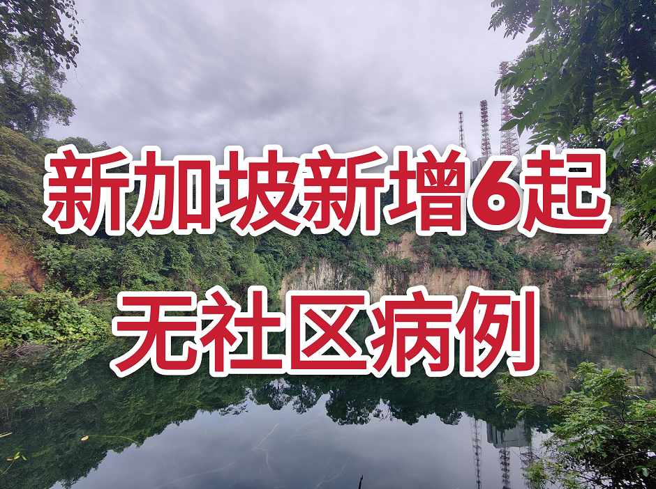 今增6 | 高庭翻盘!武汉夫妇不准回中国,必须待在新加坡直到明年续审
