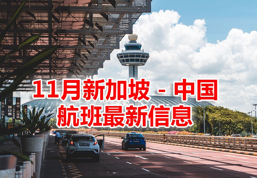 11月新中航班最新信息,又有新航班恢复;香港港龙航空停运