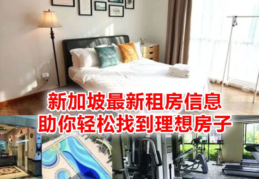 新加坡全岛各区好房自己如何找?搭房月租低至280新币