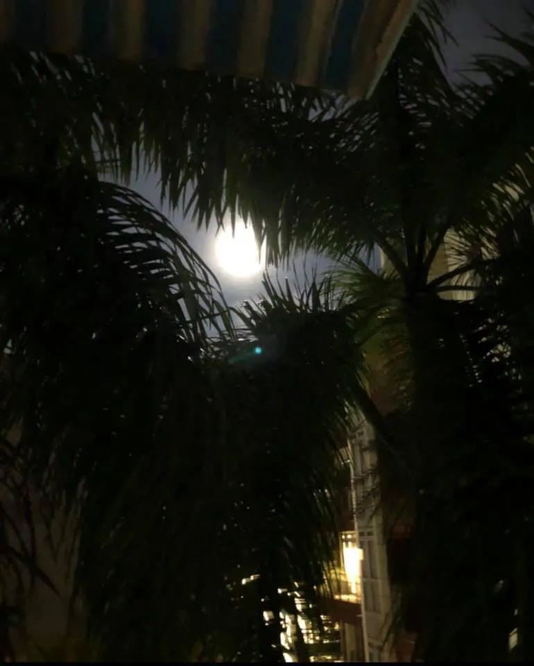 李显龙问你看见蓝月亮了吗？全球网民回复了超美照片
