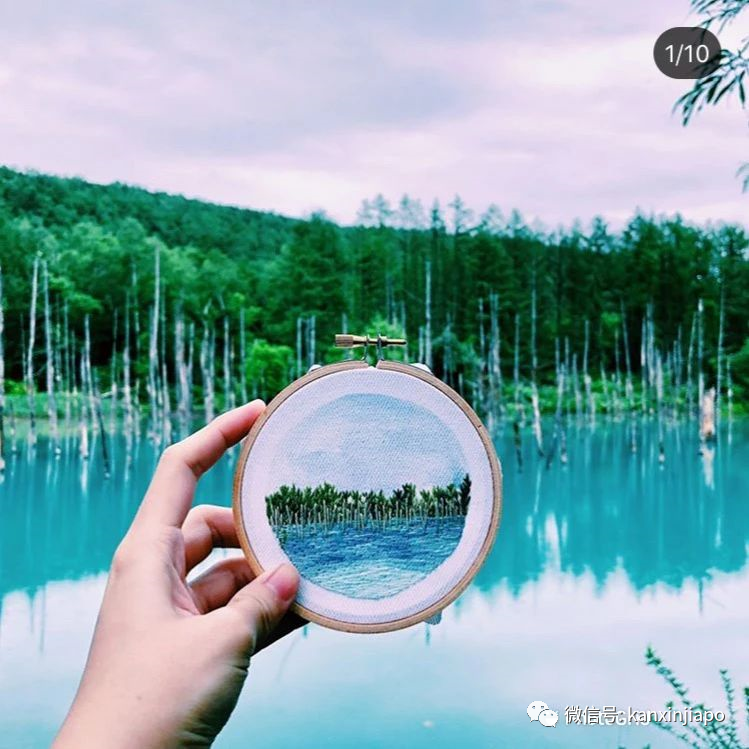 新加坡寶藏女孩,竟然用這種方式環遊世界