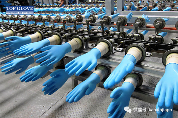 全球最大醫用手套企業外勞病例激增，28工廠分階段停工檢測