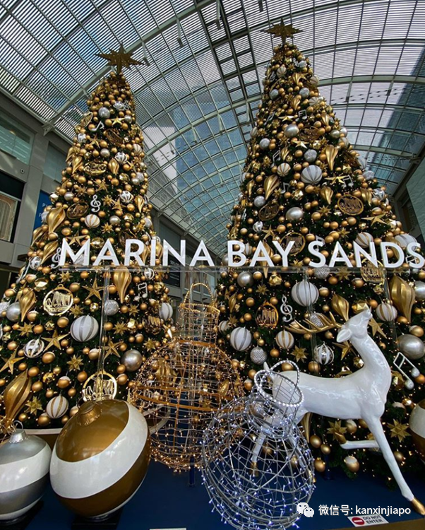 2020年最後一個公共假日,新加坡全島亮起來