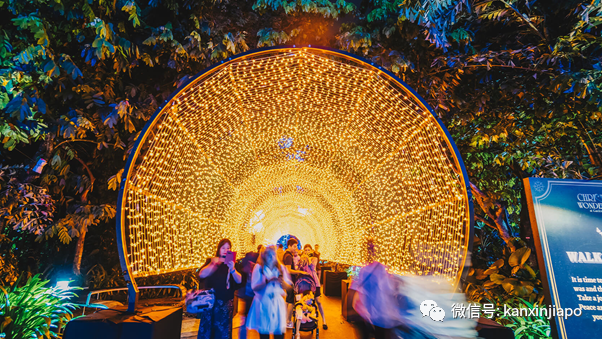 2020年最後一個公共假日,新加坡全島亮起來