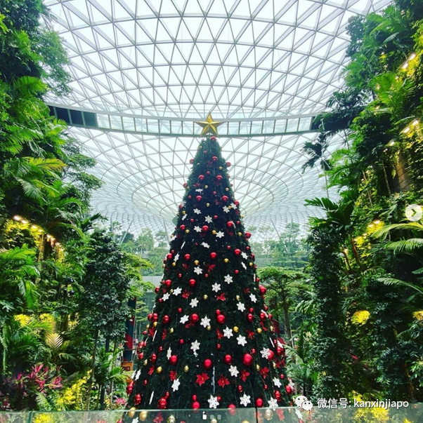 2020年最後一個公共假日,新加坡全島亮起來