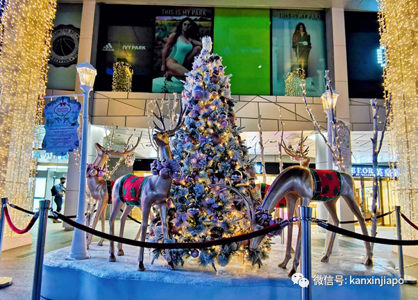 2020年最後一個公共假日,新加坡全島亮起來