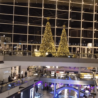 2020年最後一個公共假日,新加坡全島亮起來