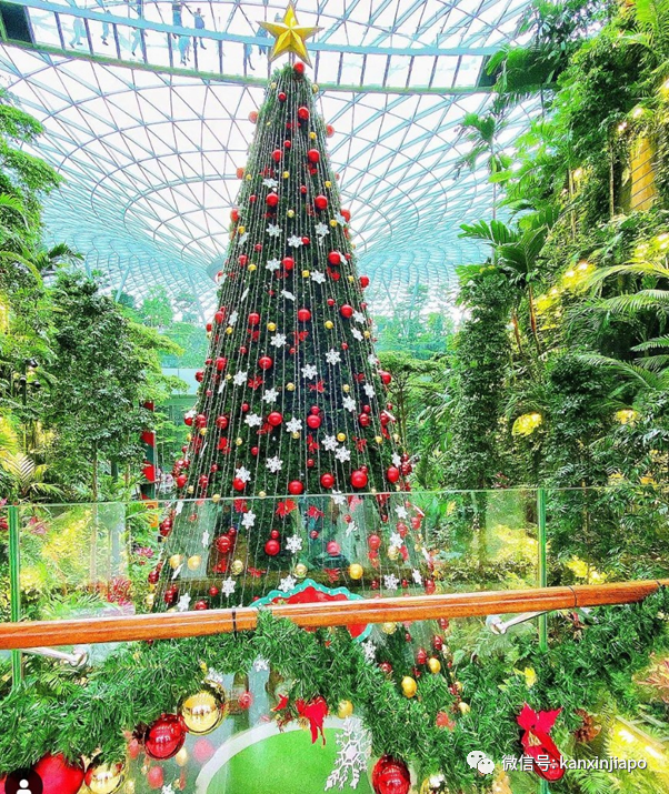 2020年最後一個公共假日,新加坡全島亮起來