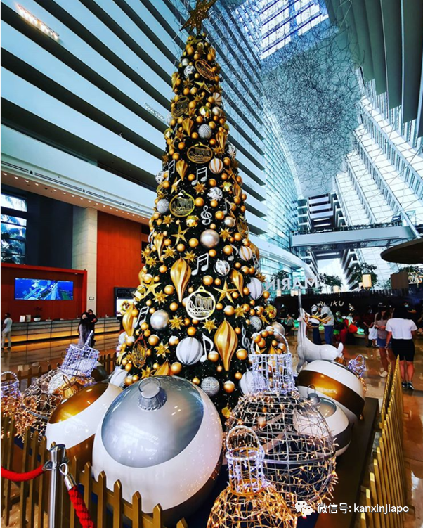 2020年最後一個公共假日,新加坡全島亮起來